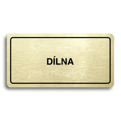 Piktogram "DLNA" - zlat tabulka - ern tisk