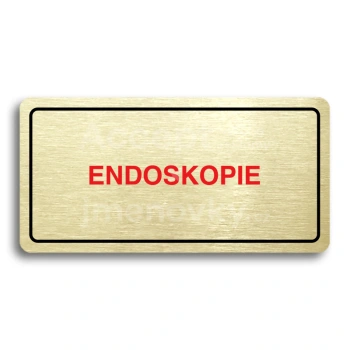 Piktogram "ENDOSKOPIE" - zlat tabulka - barevn tisk