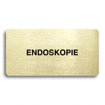 Piktogram "ENDOSKOPIE" - zlat tabulka - ern tisk bez rmeku