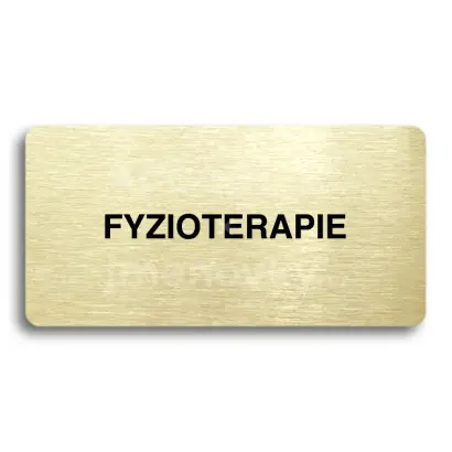 Piktogram "FYZIOTERAPIE" - zlat tabulka - ern tisk bez rmeku