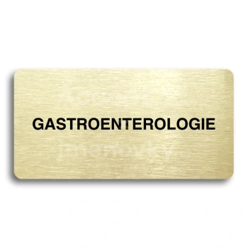 Piktogram "GASTROENTEROLOGIE " - zlat tabulka - ern tisk bez rmeku