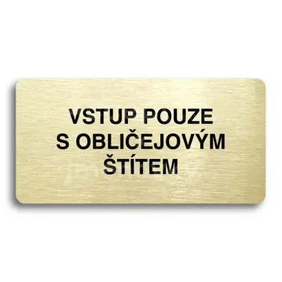 Piktogram "VSTUP POUZE S OBLIEJOVM TTEM" - zlat tabulka - ern tisk bez rmeku