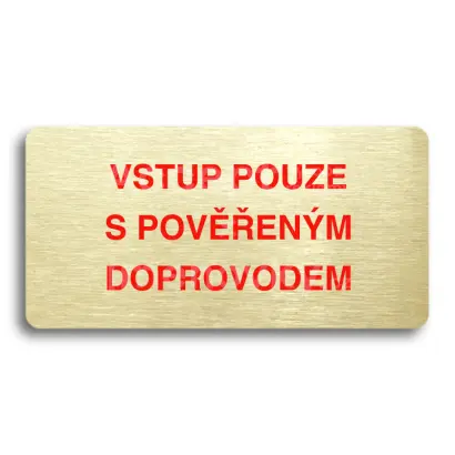 Piktogram "VSTUP POUZE S POVENM DOPROVODEM" - zlat tabulka - barevn tisk bez rmeku