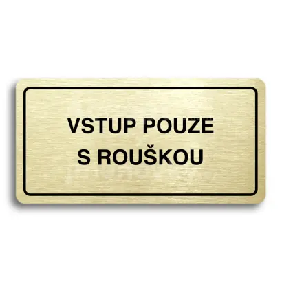 Piktogram "VSTUP POUZE S ROUKOU" - zlat tabulka - ern tisk