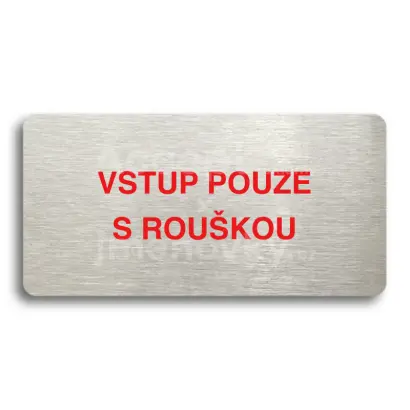 Piktogram "VSTUP POUZE S ROUKOU" - stbrn tabulka - barevn tisk bez rmeku