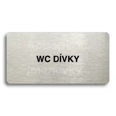 Piktogram "WC DVKY" - stbrn tabulka - ern tisk bez rmeku